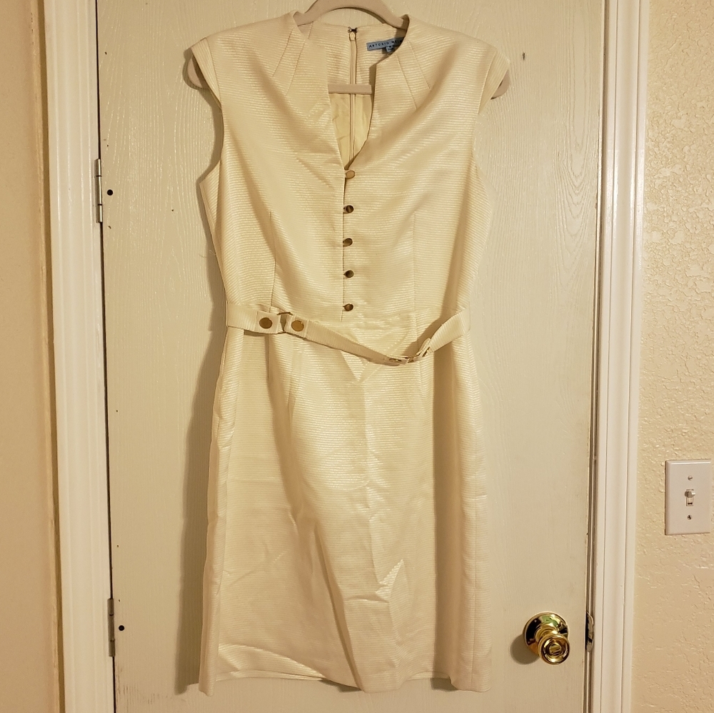 Beautiful Antonio Melani dress w/belt